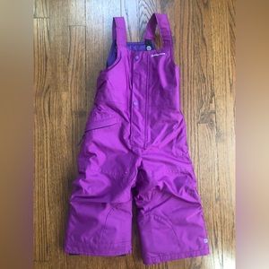 Patagonia Toddler Snow Bib